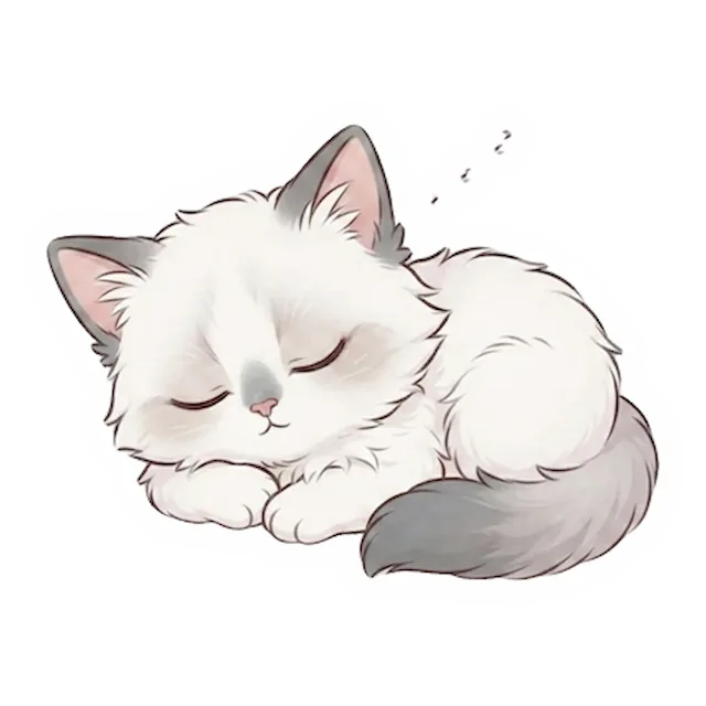 Custom Ragdoll cat sticker in a different pose (example 5)